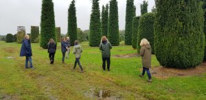 Genus Plant Sourcing, Holland